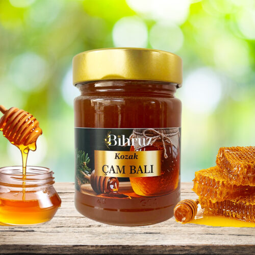 Kozak Çam Balı Bihruz 460g